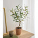 2'2" Silk Olive Tree w/Cement Pot -Green (Pack of 2) - LTO138-GR