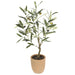 2'2" Silk Olive Tree w/Cement Pot -Green (pack of 2) - LTO138-GR