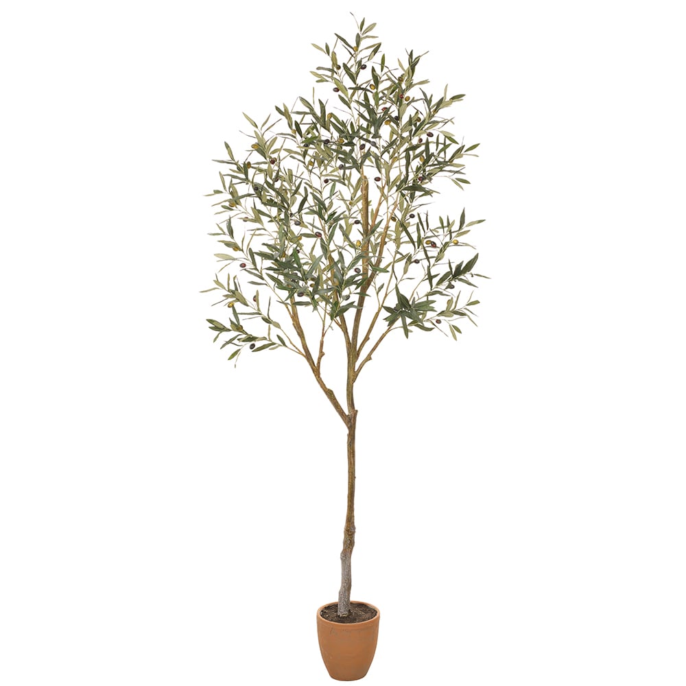 7' Silk Olive Tree w/Cement Pot -Green