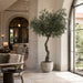 7' Olive Silk Tree w/Pot -Green/Black - LTO187-GR/BK