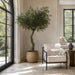 7' Olive Silk Tree w/Pot -Green/Black - LTO187-GR/BK