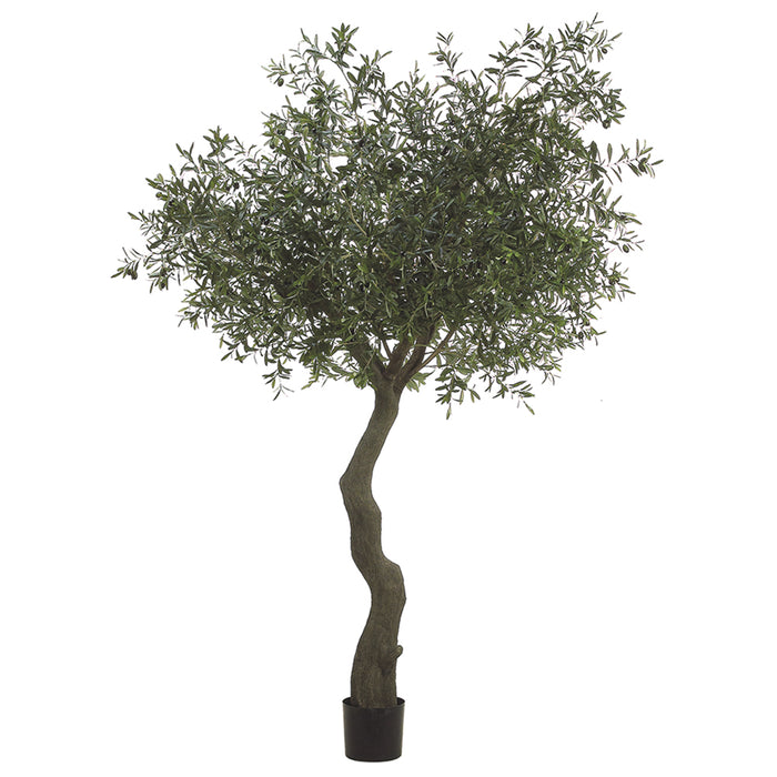 7' Olive Silk Tree w/Pot -Green/Black - LTO187-GR/BK