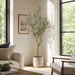 5'6" Olive Leaf Silk Tree w/Plastic Pot -Green - LTO232-GR