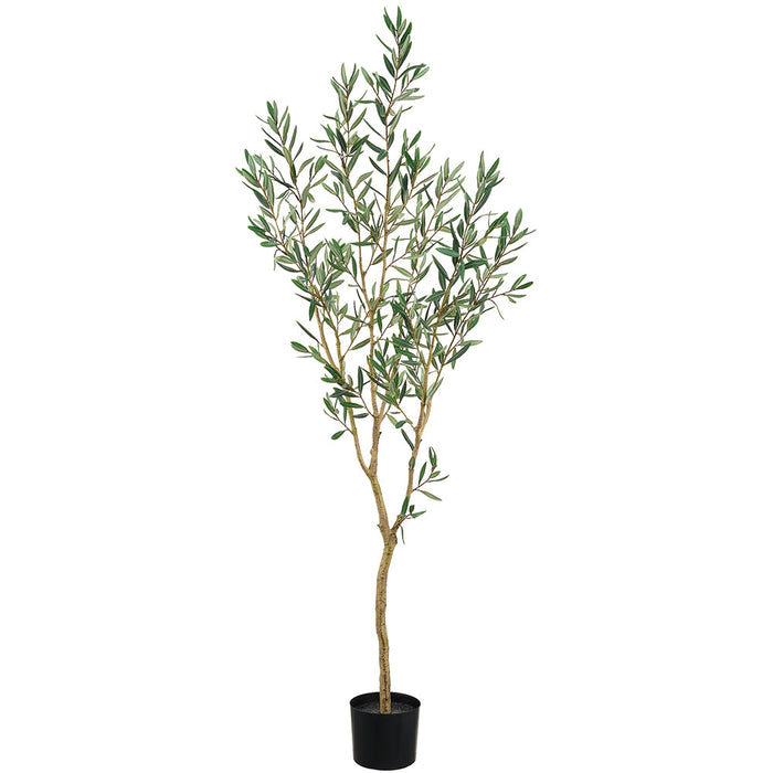 5'6" Olive Leaf Silk Tree w/Plastic Pot -Green - LTO232-GR