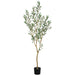 5'6" Olive Leaf Silk Tree w/Plastic Pot -Green - LTO232-GR