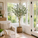 6' Olive Leaf Silk Tree w/Plastic Pot -Green - LTO233-GR