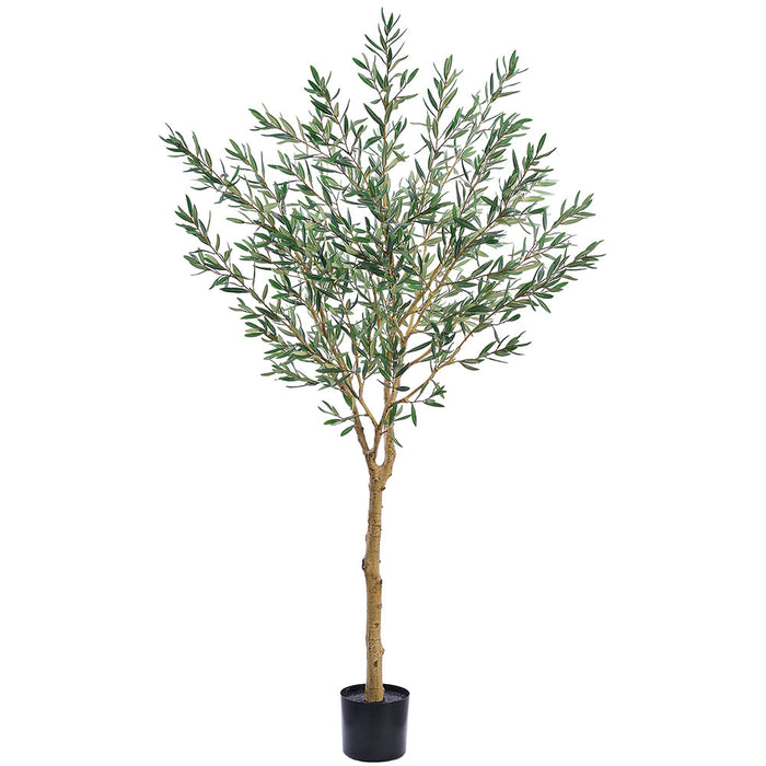 6' Olive Leaf Silk Tree w/Plastic Pot -Green - LTO233-GR