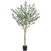 6' Olive Leaf Silk Tree w/Plastic Pot -Green - LTO233-GR