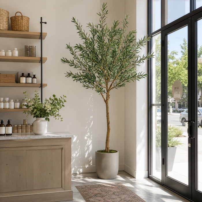 8' Olive Leaf Silk Tree w/Plastic Pot -Green - LTO234-GR