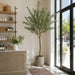 8' Olive Leaf Silk Tree w/Plastic Pot -Green - LTO234-GR