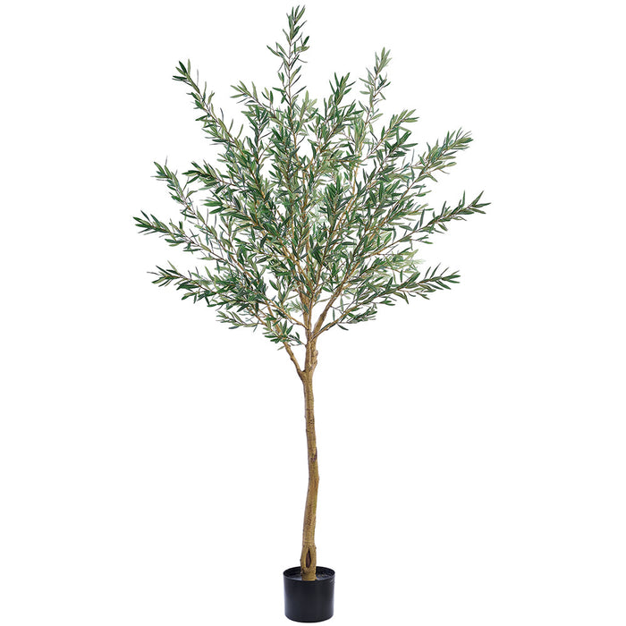 8' Olive Leaf Silk Tree w/Plastic Pot -Green - LTO234-GR