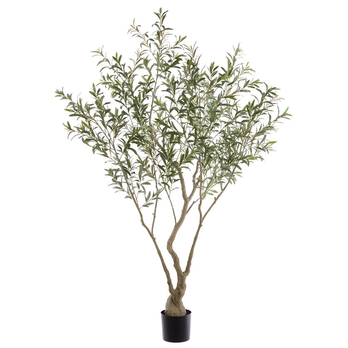 6'11 Olive Leaf Silk Tree w/Plastic Pot -Green - LTO275-GR