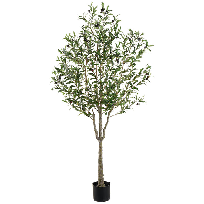 5'3" Olive With Berries Silk Tree w/Pot -Green (pack of 2) - LTO284-GR