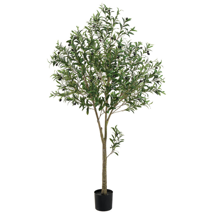 6' Olive With Berries Silk Tree w/Pot -Green (pack of 2) - LTO288-GR