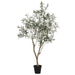7'10" Olive Leaf Silk Tree w/Pot -Green - LTO745-GR