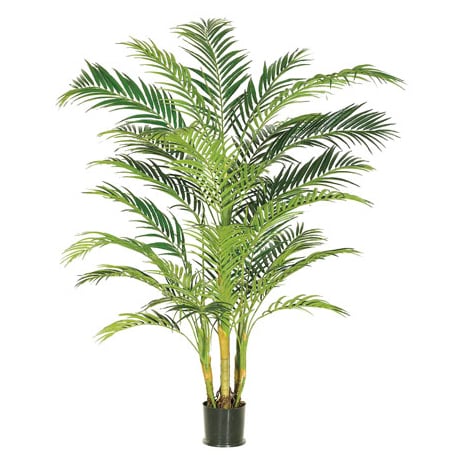 areca palm silk 7' Tropical Areca Silk Palm Tree w/Pot -Green (Pack of 2)