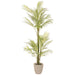 5'2" Silk Areca Palm Tree w/Cement Pot -Green - LTP110-GR