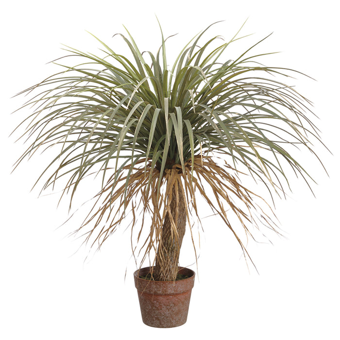 31" Silk Desert Palm Tree w/Pot -Green/Beige (pack of 2) - LTP155-GR/BE