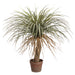 31" Silk Desert Palm Tree w/Pot -Green/Beige (pack of 2) - LTP155-GR/BE