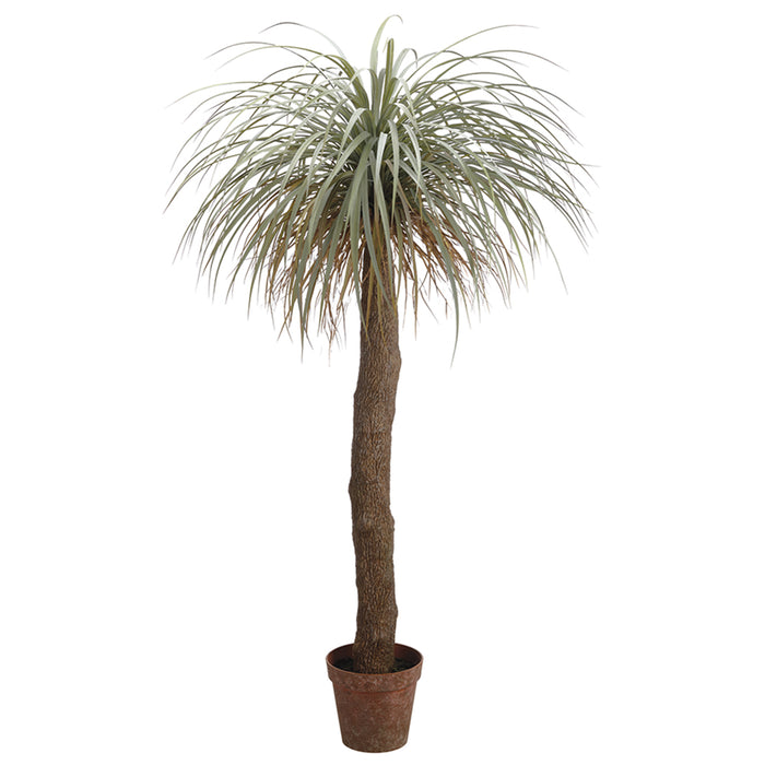 6' Silk Desert Palm Tree w/Pot -Green/Gray - LTP158-GR/GY