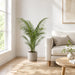 4' Areca Silk Palm Tree w/Pot -Green (Pack of 2) - LTP163-GR