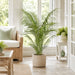 4' Areca Silk Palm Tree w/Pot -Green (Pack of 2) - LTP163-GR