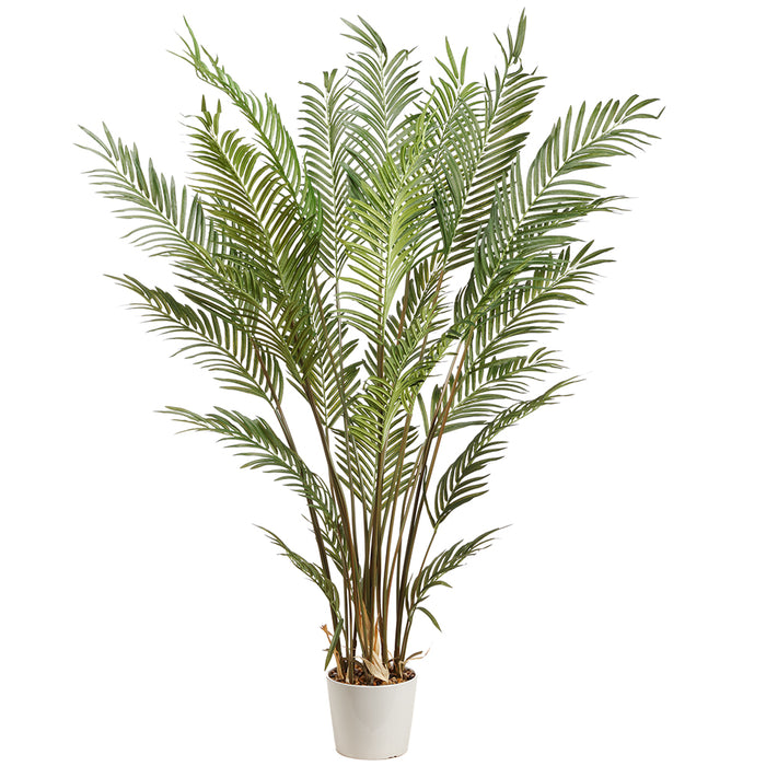 6'8" Areca Silk Palm Tree w/Ceramic Pot -Green - LTP187-GR