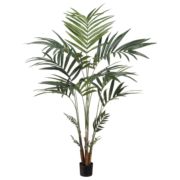 6' Kentia Silk Palm Tree w/Pot -Green - LTP242-GR