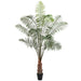 5' Kentia Silk Palm Tree w/Pot -Green (pack of 2) - LTP480-GR