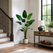 6' Traveler's Palm Silk Plant w/Plastic Pot -Green (Pack of 2) - LTP542-GR