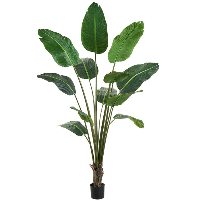 6' Travelers Silk Palm Tree w/Plastic Pot -Green (Pack of 2) - LTP542-GR