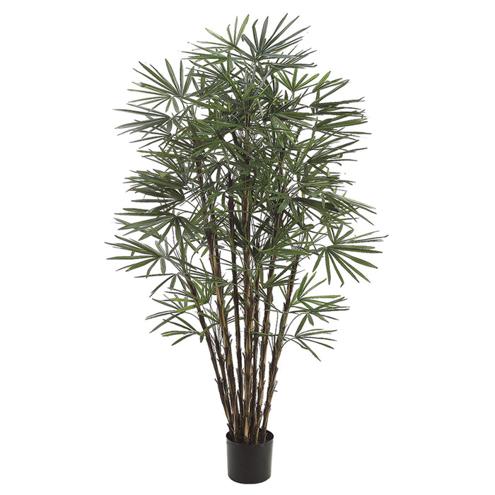 7' Honey Lady Silk Palm Tree w/Pot (pack of 2) - LTP547-GR/TT