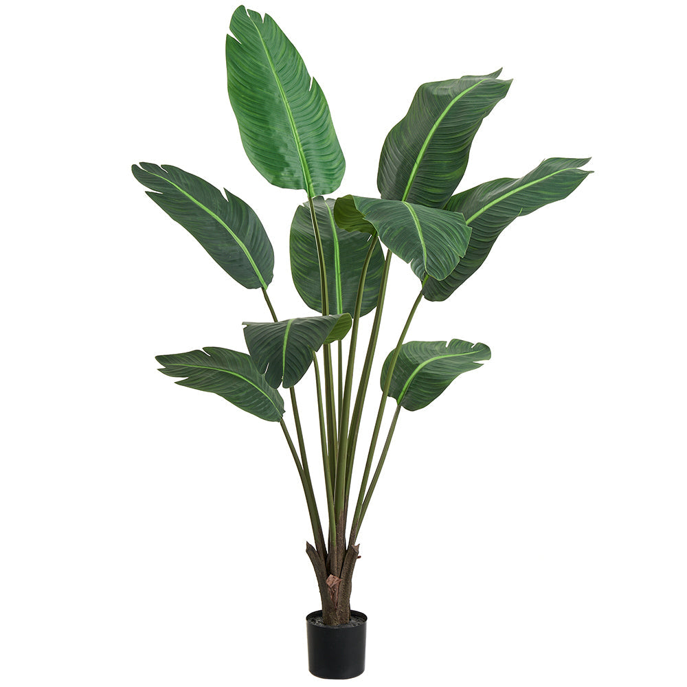 palm tree silk plant 5' Travelers Silk Palm Tree w/Plastic Pot -Green (Pack of 2)