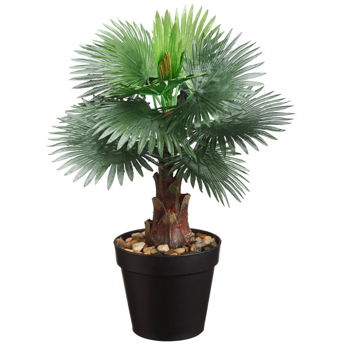 15.75" Artificial Bismarckia Palm Plant w/Pot -Green (pack of 6) - LTP570-GR