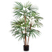 24" Silk Honey Lady Palm Plant w/Pot -Green (pack of 2) - LTP713-GR