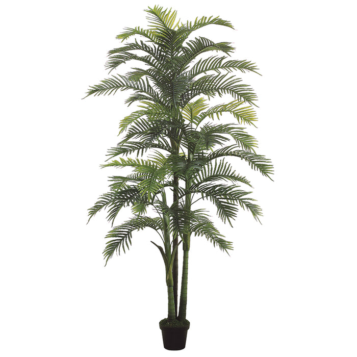 areca palm palm heart 8'2" Hearts Areca Silk Palm Tree w/Pot -Green (Pack of 2)