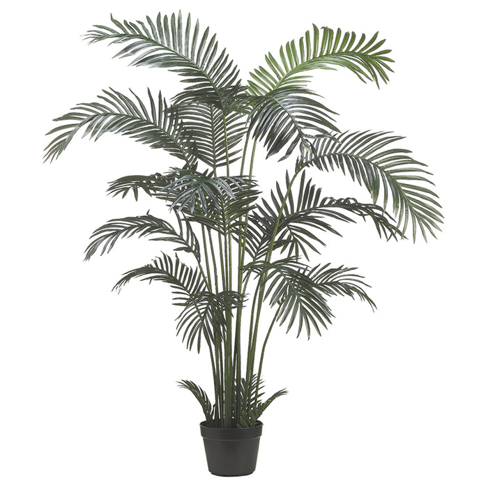 6' Areca Silk Palm Tree w/Plastic Pot (pack of 2) - LTP846-GR