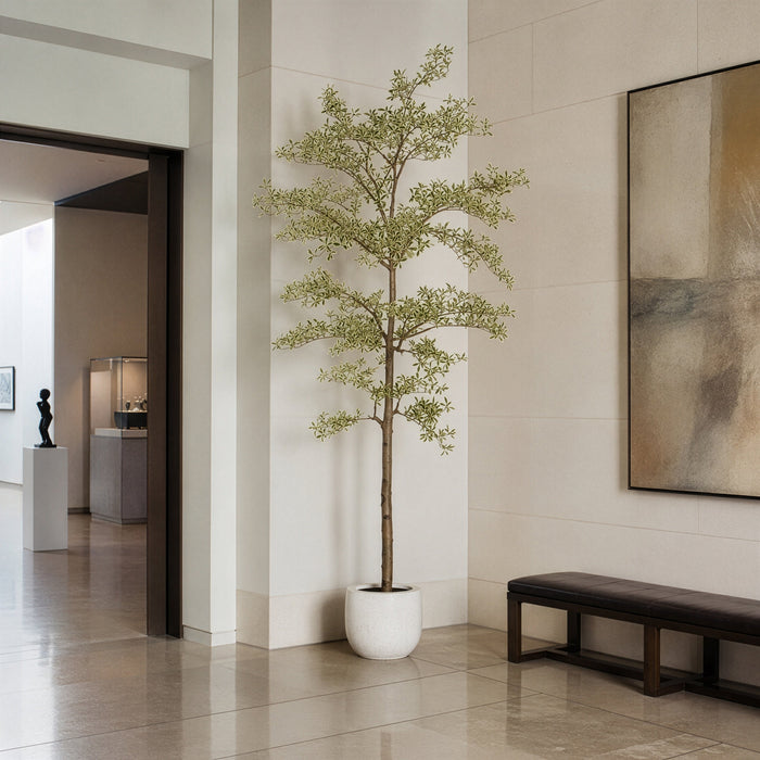 9' Shady Lady Olive Silk Tree w/Pot -Variegated - LTP931-GR/VG