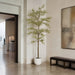 9' Shady Lady Olive Silk Tree w/Pot -Variegated - LTP931-GR/VG