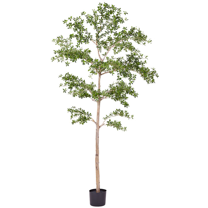 9' Shady Lady Olive Silk Tree w/Pot -Green - LTP931-GR