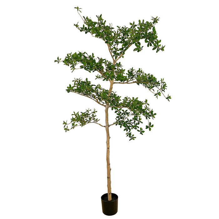 6' Shady Lady Olive Silk Tree w/Pot -Green - LTP933-GR