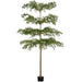 13' Shady Lady Olive Silk Tree w/Pot -Green - LTP935-GR