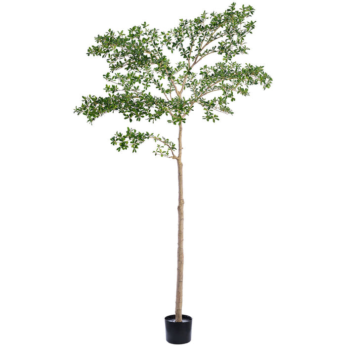 9' Shady Lady Olive Silk Tree V2 w/Pot -Green - LTP936-GR