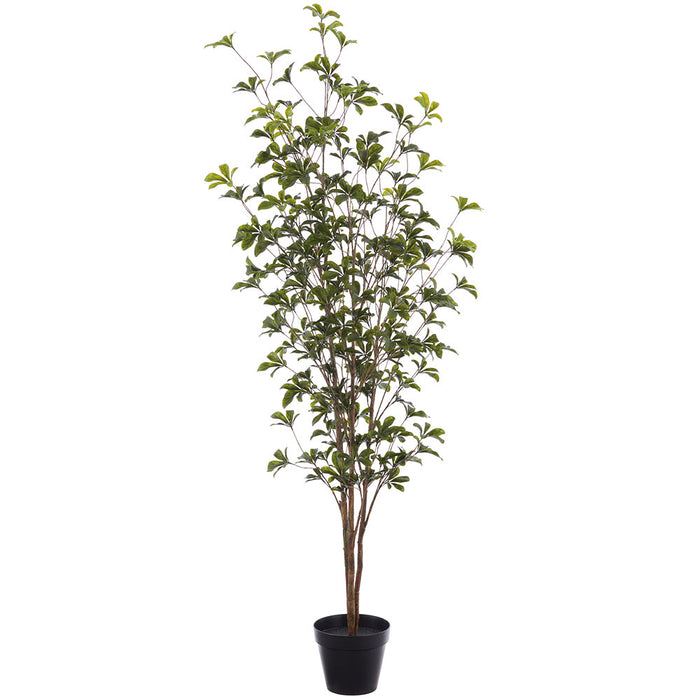 5'10" Outdoor UV-Resistant Artificial Schefflera Tree w/Pot -Green - LTS013-GR