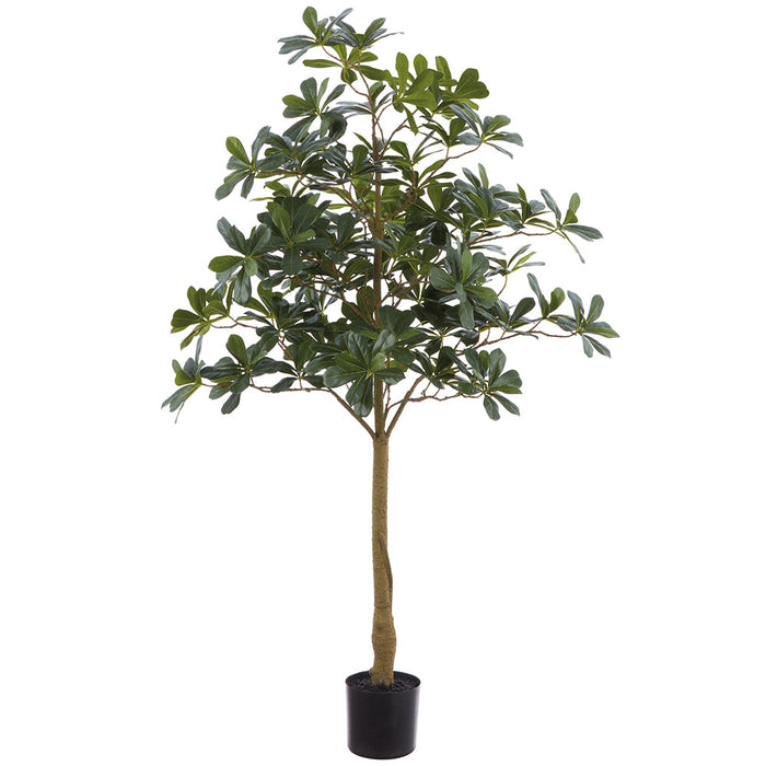 4' Schefflera Leaf Silk Tree w/Plastic Pot -Green (Pack of 4) - LTS090-GR