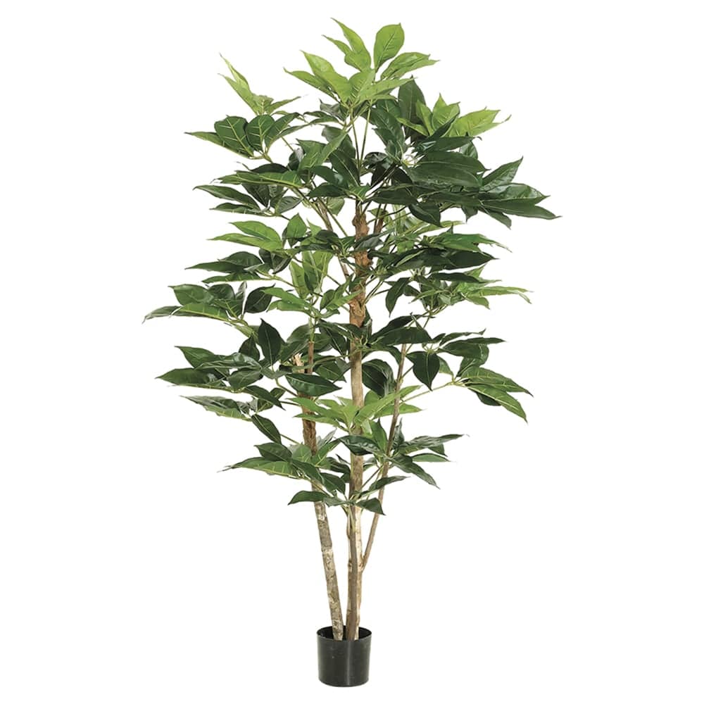 5' Schefflera Silk Tree w/Pot -Green | More Tree Varieties — Silks Are ...