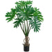 5' Selloum Philodendron Silk Plant w/Pot -Green - LTS234-GR