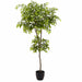 6' Silk Sakaki Tree w/Plastic Pot -2 Tone Green (Pack of 2) - LTS300-GR/TT