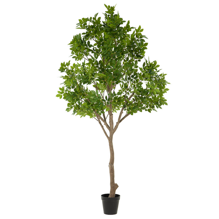 9'11" Trumpet Leaf Silk Tree w/Plastic Pot -Green - LTT102-GR