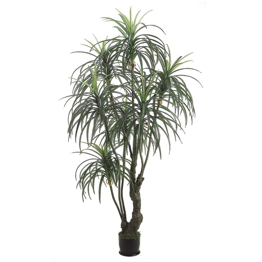 7' Yucca Silk Tree w/Pot -2 Tone Green | Dracaena & Yucca Trees — Silks ...